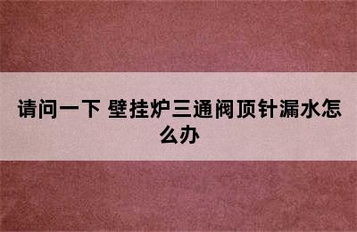 请问一下 壁挂炉三通阀顶针漏水怎么办